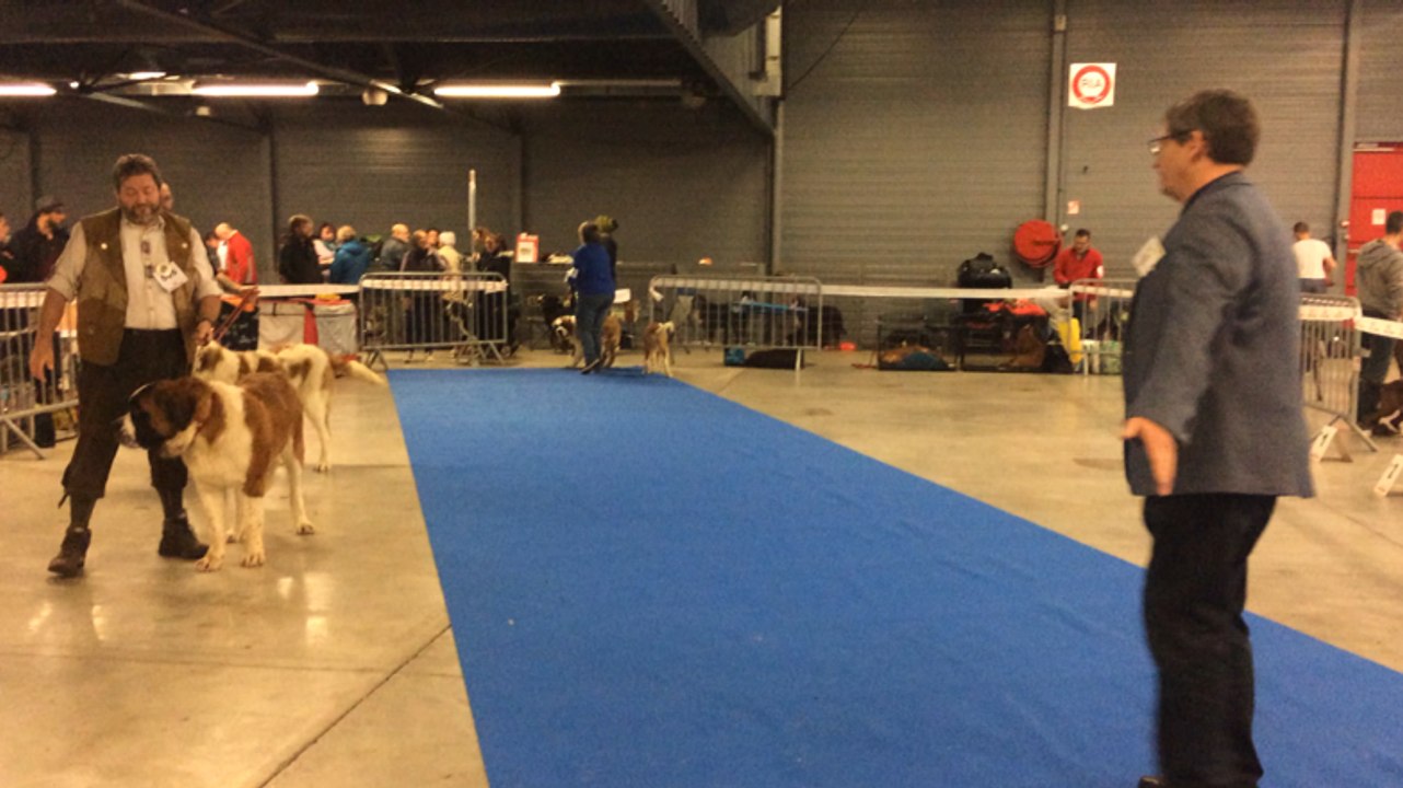 Exposition canine nationale