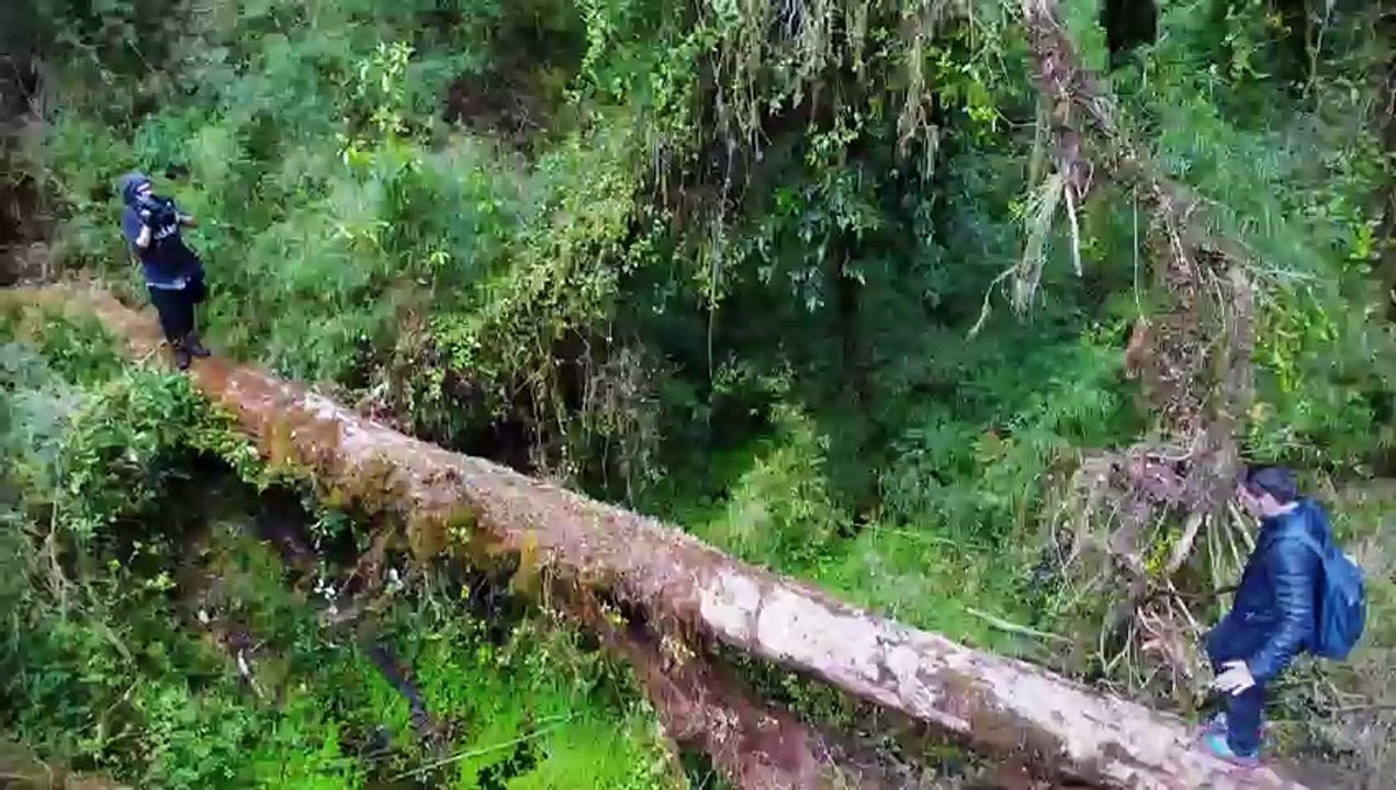 Lugares que Hablan  2017 Quellón – Las historias no contadas de Chiloé_clip0