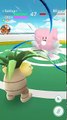 Pokémon GO Gym Battles Level 10 Gym Politoed Tyranitar Feraligatr Slowking Ampharos Blissey & more
