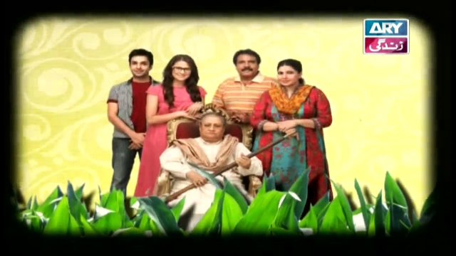 Dugdugi Episode 205 In High Quality On Ary Zindagi 19th November 2017