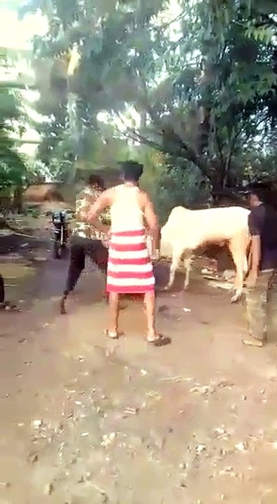Dangerous fight