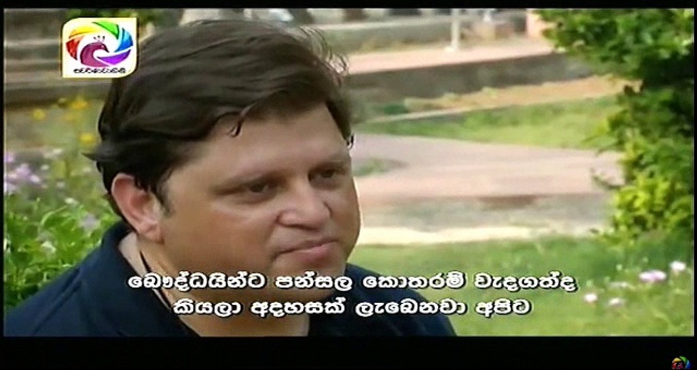 බෞදධ ලෝකයේ පුදුම හත - Seven wonders of the Buddhist world