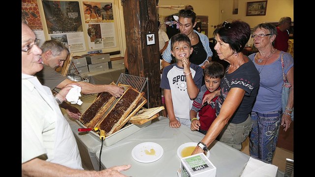 La récolte de miel ce matin à Figuerolles ( ph fred Munos, Maritima médias)