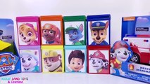 Paw Patrol Baby Doll Picnic Custom Cubeez Mickey Mouse Clubhouse Ice Cream Stand Shine PJ Masks