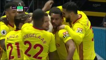 Watford vs West Ham United 2-0 All Goals & Highlights 19.11.2017 HD 720i