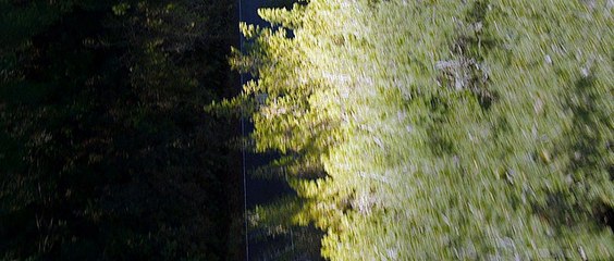 Posesion Infernal parte 1 audio latino terror