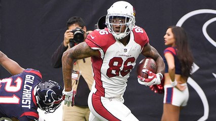 Seals-Jones twirls in mid-air for 28-yard TD catch amid two Texans