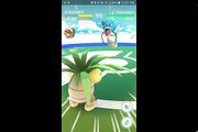 Pokémon GO Gym Battles LEVEL 10 GYM Exeggutor Arcanine Wigglytuff Dragonite Venusaur & more