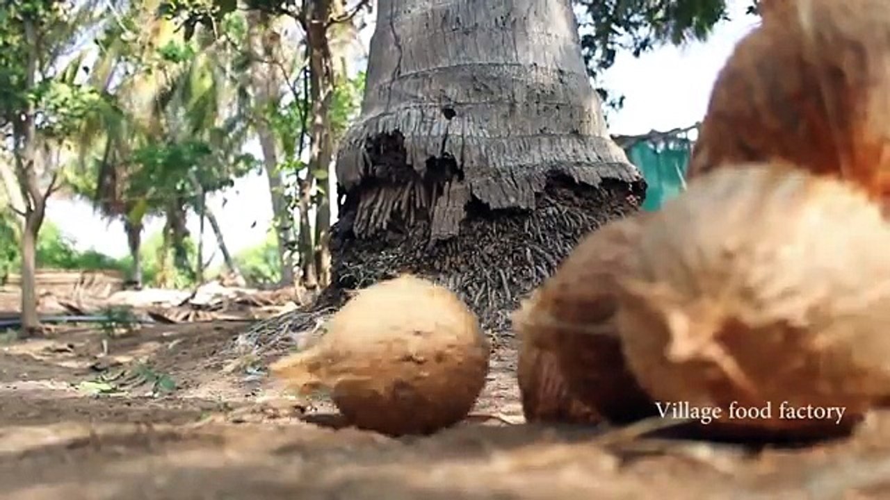 EV YAPIMI KOKONAT YAĞI NASIL YAPILIR ( HİNTLİ DAYI )