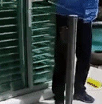 Snake Catcher Has 'Heart in Mouth Moment' With Venomous Serpent