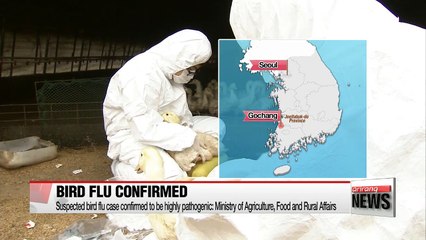 Suspected AI case confirmed to be highly pathogenic