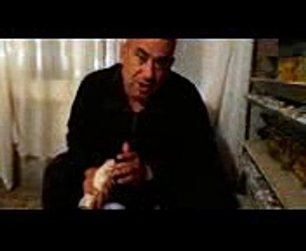 BILDIRCIN DİŞİ ERKEK NASIL ANLAŞILIR ( BEYAZ BILDIRCIN ) BİLGİ İÇİN 0536 763 53 77