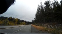Dashcam Captures the Moment Driver Hits Deer-zCB9KtuUJTw