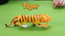 Learn Animals Sounds And Names For Children Kids And Babies _ Learning  Wild Jungle Animals-jxqyRhdP-6o