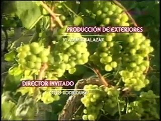 JUDINA ZENA - EPIZODA 2.
