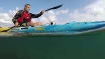 Whales Spotted by Kayakers on the Sunshine Coast-IXMvWj4mDUE