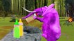 Animals Dinosaurs Wrong Heads Eyes 3D Animation Pranks | Learn Colors With Animals Milk Bottles