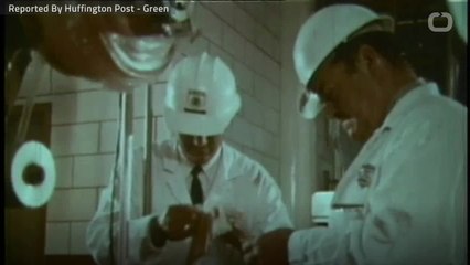 Animal Welfare Groups Slam Proposal To Speed Up Poultry Plant Lines