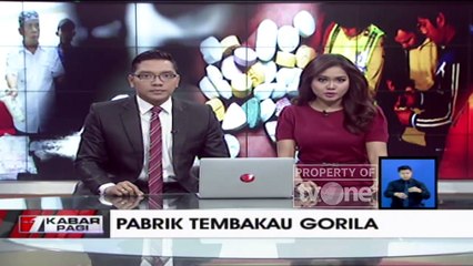 Pabrik Narkoba Jenis Tembakau Gorila Di Kemang Berhasil Diungkap Polisi