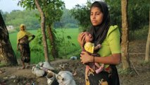 Rohingya crisis: Mogherini urges Myanmar, Bangladesh to seek solution