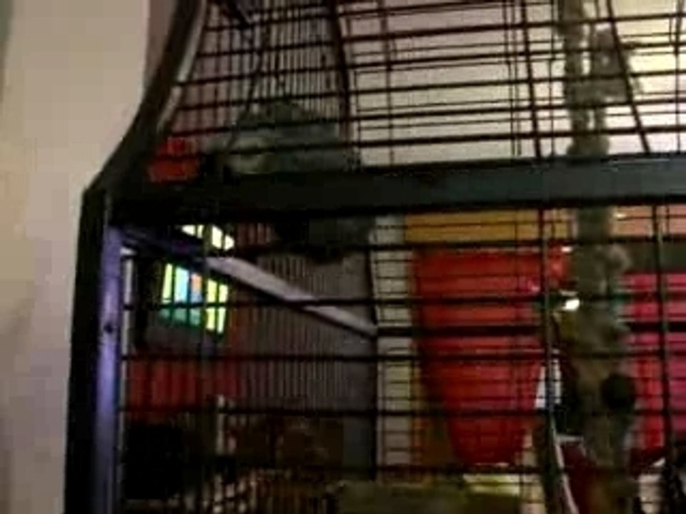 DSCF4669