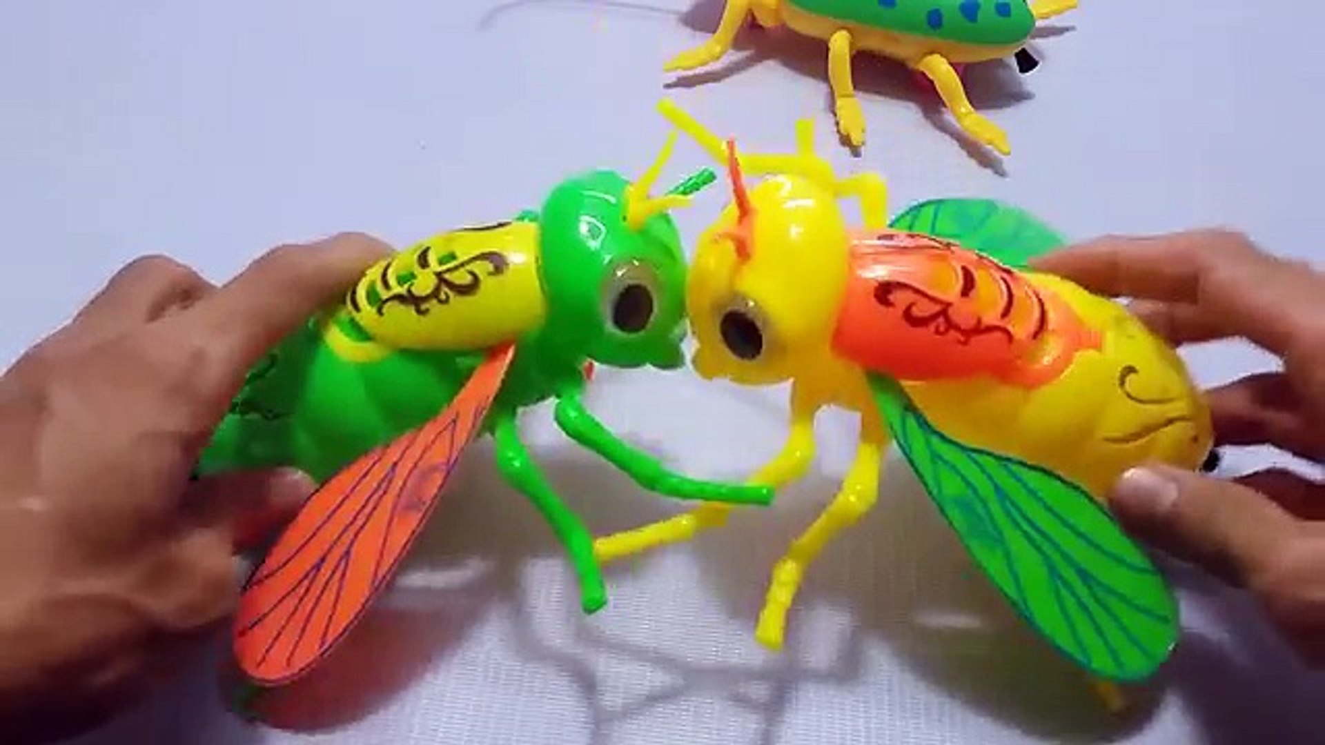 Fishing Videos for Children | Fishing Videos for Kids | Fishing Game for Children