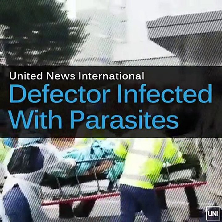 ‘Enormous Number’ Of Parasites In North Korean Defector’s Body, Doctors Say