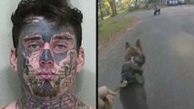 Good Boy Police Doggo Helps Catch Suspect With Terrible Tattoos