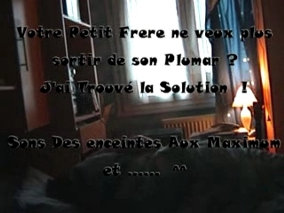 Pauvre Petit Frere - Humour
