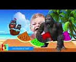 Learn Color with Watermelon Bad Baby Crying - Learn Color with Monkey King Kong Wild Animal for Kids