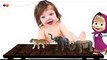 Bad Baby Crying and Learn Wild Animals & Masha Finger Family Song Collection Collection
