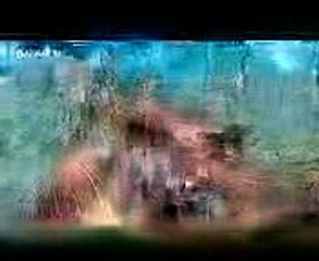 9 Cosas irresistibles para las mujeres