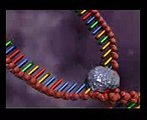 DNA replication animation by interact Medical