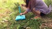 Awesome Quick Bird Trap Using PVC How To Make Bird Perch Snare Traps With Water Pipe Works
