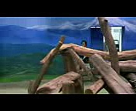 Adorable baby panda Cub climbs over logs during debut in Taiwan