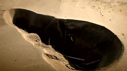 아파트가 도미노처럼...액상화가 뭐길래? / YTN