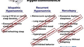 Neuropathology and Treatment of Hypersomnia