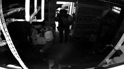 Un délinquant joue à cache cache avec la police !