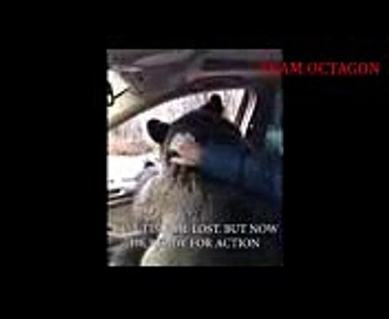 У Хабиба появился жёсткий спарринг партнер Подготовка на UFC 219 !!!