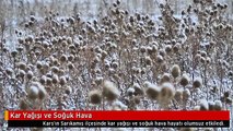 Kar Yağışı ve Soğuk Hava