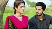 Rani Drama Episode 29 Promo  Har Pal Geo  Babar Ali, Kinza Hashmi, Saleem Sheikh