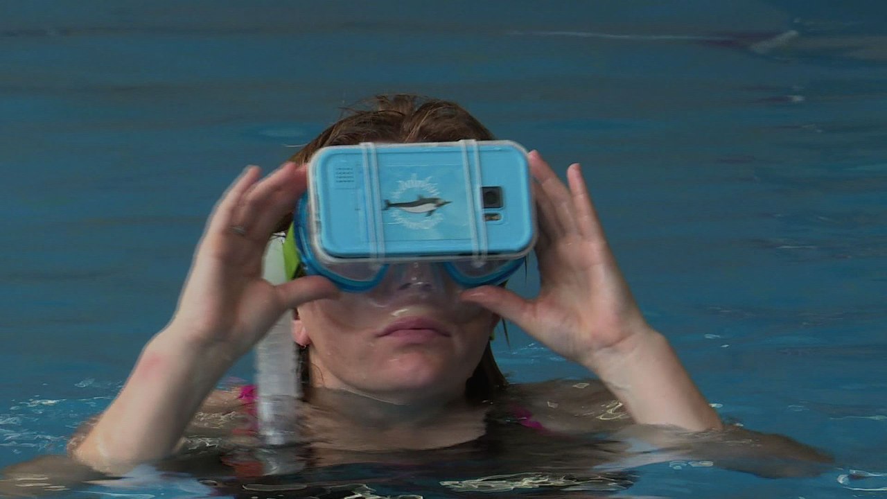 Nager avec des dauphins virtuels, une thérapie bien réelle