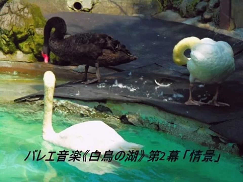 どこかで聴いたことのあるクラシックメドレー作業用