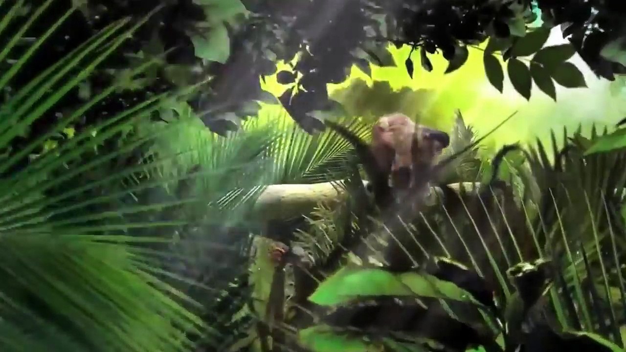 الفهد الغريزة القاتلة | نات جيو وايلد العربية | Nat Geo Wild Arabic