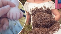 Wanita berpose dengan 20,000 lebah saat hamil, yang terjadi selanjutnya mengejutkan…  - TomoNews