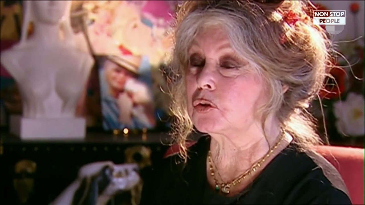 Brigitte Bardot : Sa lettre musclée à Donald Trump sur les trophées d’éléphants