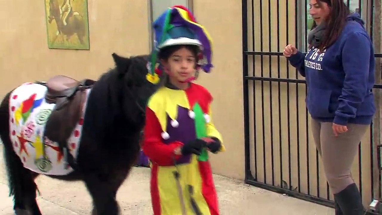 Les premières heures de préparation ce samedi au poney club de Martigues