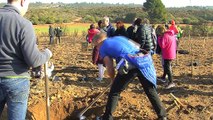 La campagne de reboisement à Vitrolles en vidéo