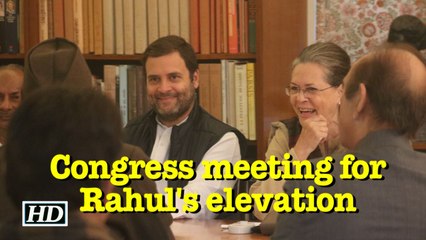 Congress starts process for Rahul Gandhi as party chief