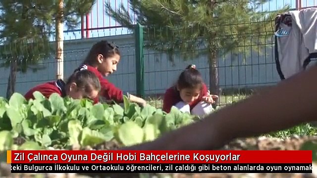Zil Çalınca Oyuna Değil Hobi Bahçelerine Koşuyorlar